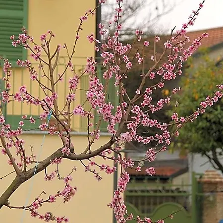 酒店 La Cuccagna Di Don Bosco - No Landlords And Neighbours - Absolute Privacy!
